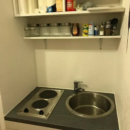 Kleissl *